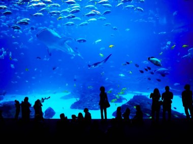 aquarium lyon