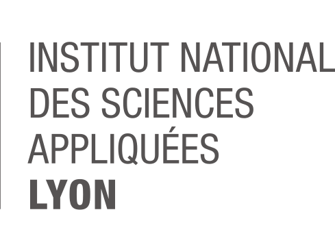 insa lyon