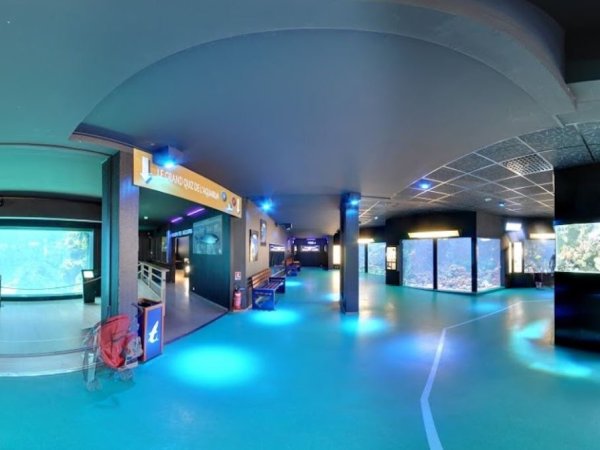 grande salle aquarium lyon