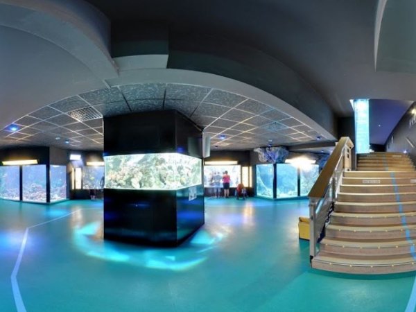 grande salle aquarium lyon