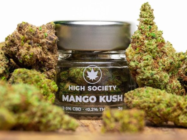 produits a base de cbd en vente dans la boutique high society lyon saxe gambetta