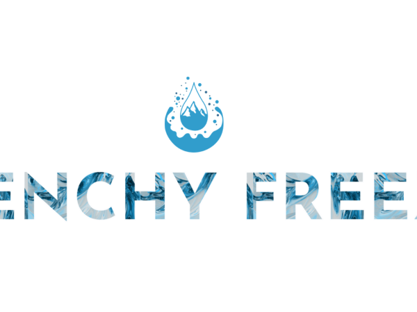 logo de la boutique frenchy freeze