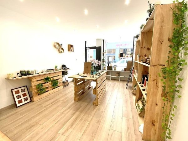 presentoirs en bois brut et palettes dans la boutique nativus de lyon
