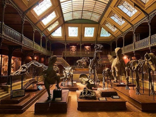 reproduction miniature un museum histoire naturelle avec des squelettes de dinosaures au musee du cinema et des miniatures de lyon