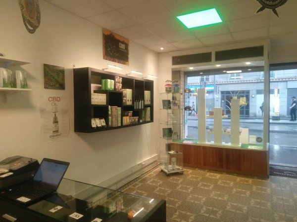 interieur boutique natural collector lyon cbd seeds shop