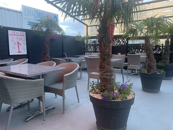 terrasse avec palmiers en pots du restaurant bar le sunshine a villeurbanne