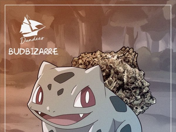 jeu de mots budbizarre entre articles cbd et univers pokemon