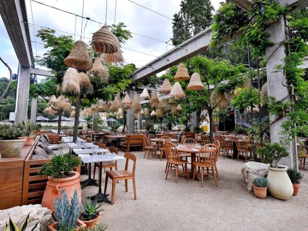 plage terrasse tropicale restaurant selcius lyon confluence