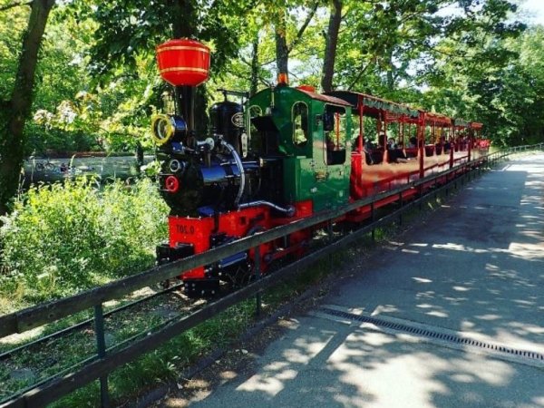 locomotive wagon petit traint parc tete or lyon