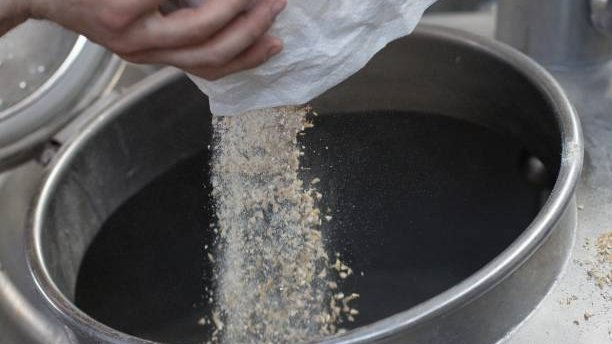 media la magie de la fermentation le role cle de la levure de biere