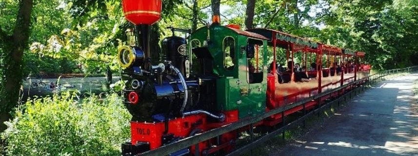 locomotive wagon petit traint parc tete or lyon