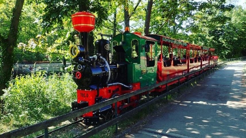 locomotive wagon petit traint parc tete or lyon