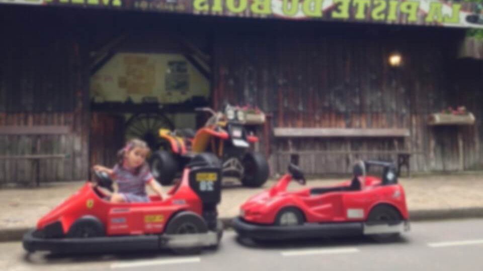 un petit gone embarque sur un karting electrique de la piste du bois