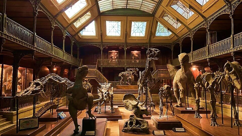 reproduction miniature un museum histoire naturelle avec des squelettes de dinosaures au musee du cinema et des miniatures de lyon