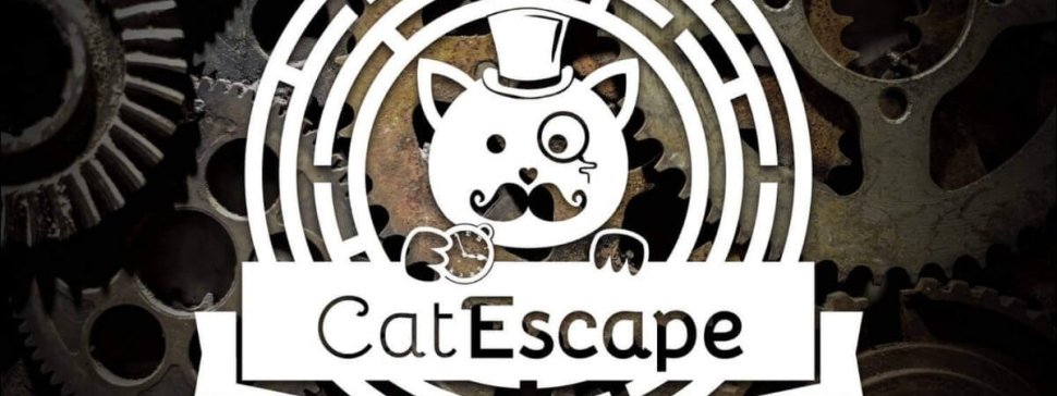 logo escape game catescape dubar a chat le gentle cat a lyon