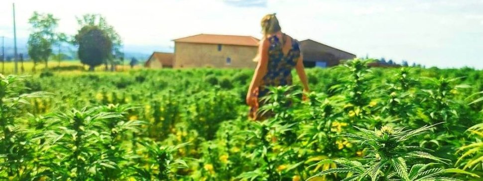 la ferme familiale plante de tomine a lyon