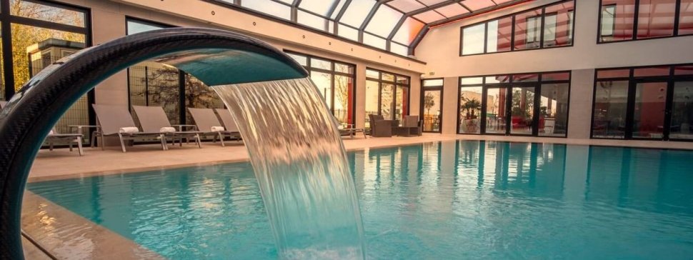 col de cygne dans la piscine couverte de l hotel kyriad prestige et spa de lyon saint priest